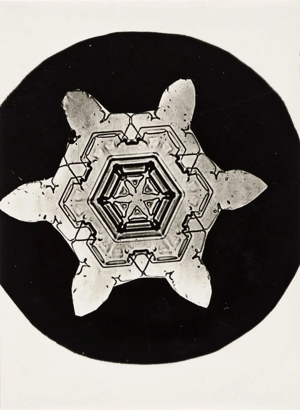 WILSON A. "SNOWFLAKE" BENTLEY (1865-1931) A group of 4 vintage snow crystals.