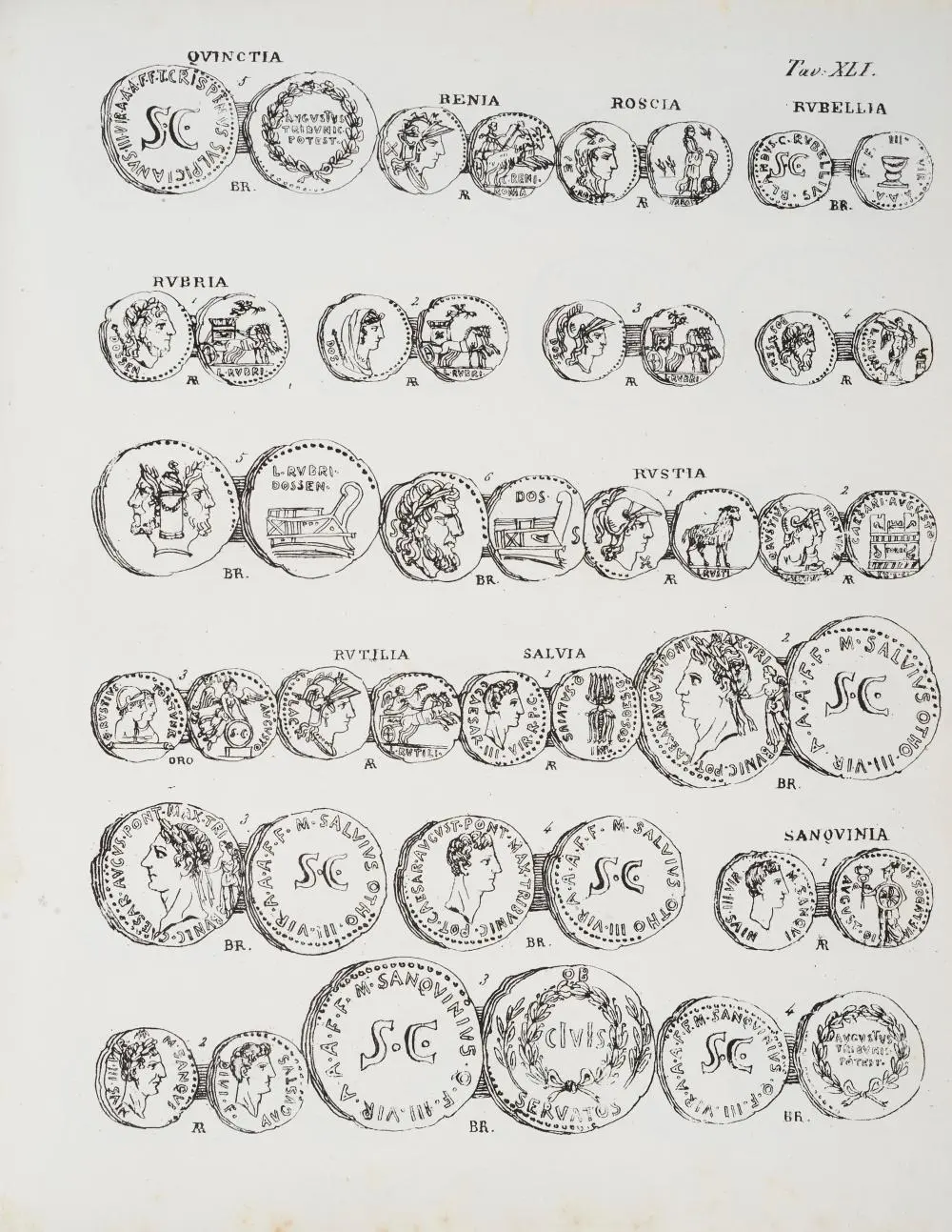 Corposo lotto di volumi numismatici
